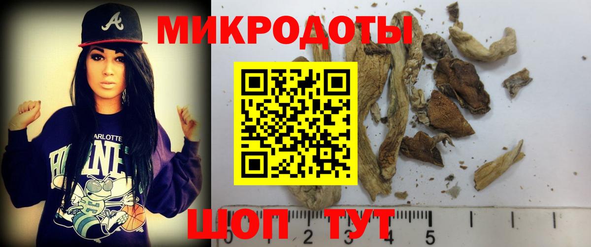 Псилоцибиновые грибы Psilocybine cubensis  Вход с VPN  Гусь-Хрустальный 